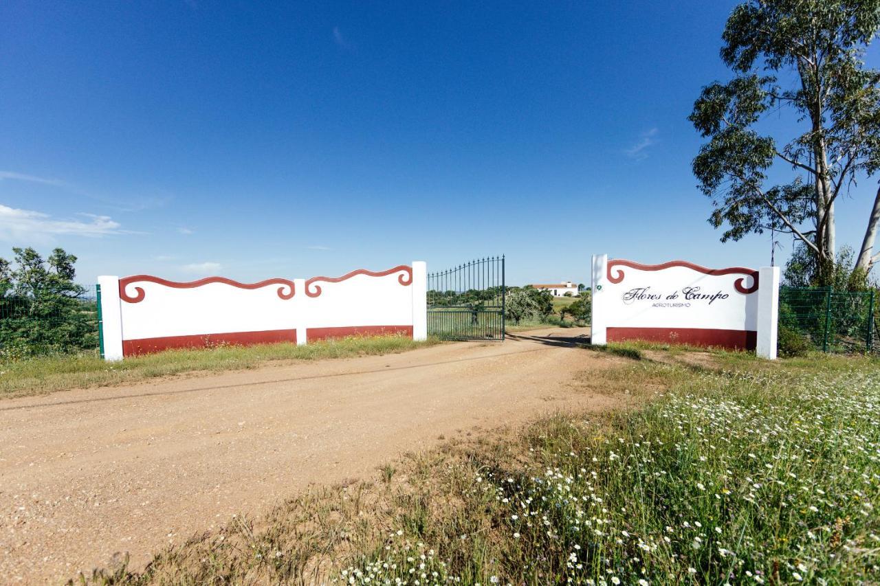 הוילה Vila Verde de Ficalho Agroturismo Flores Do Campo מראה חיצוני תמונה