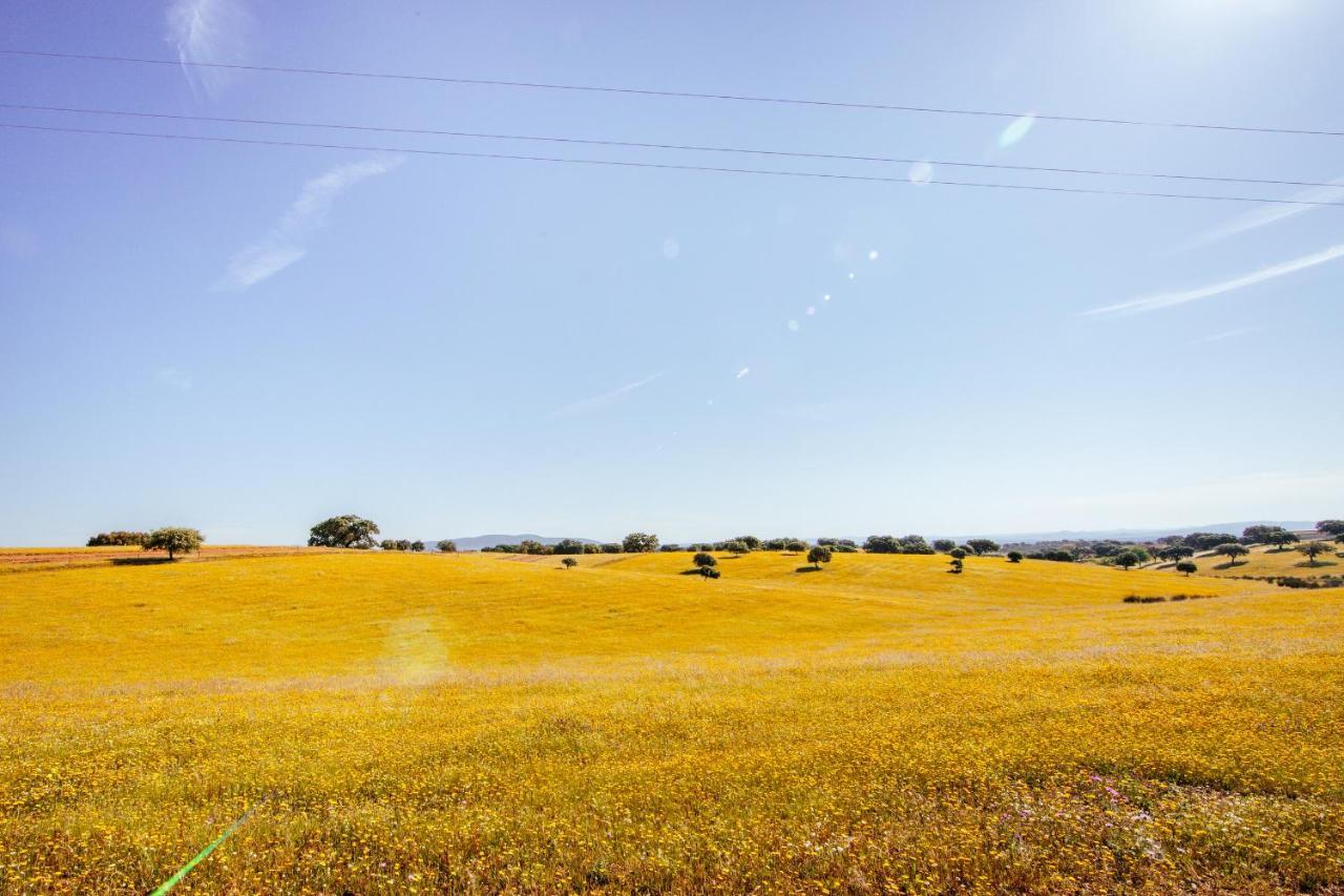 הוילה Vila Verde de Ficalho Agroturismo Flores Do Campo מראה חיצוני תמונה