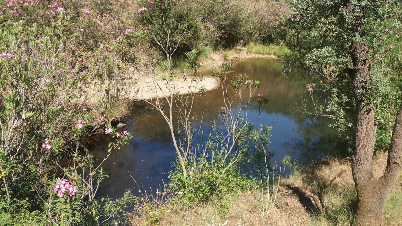 הוילה Vila Verde de Ficalho Agroturismo Flores Do Campo מראה חיצוני תמונה