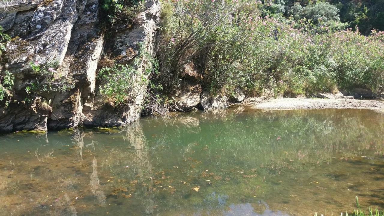 הוילה Vila Verde de Ficalho Agroturismo Flores Do Campo מראה חיצוני תמונה
